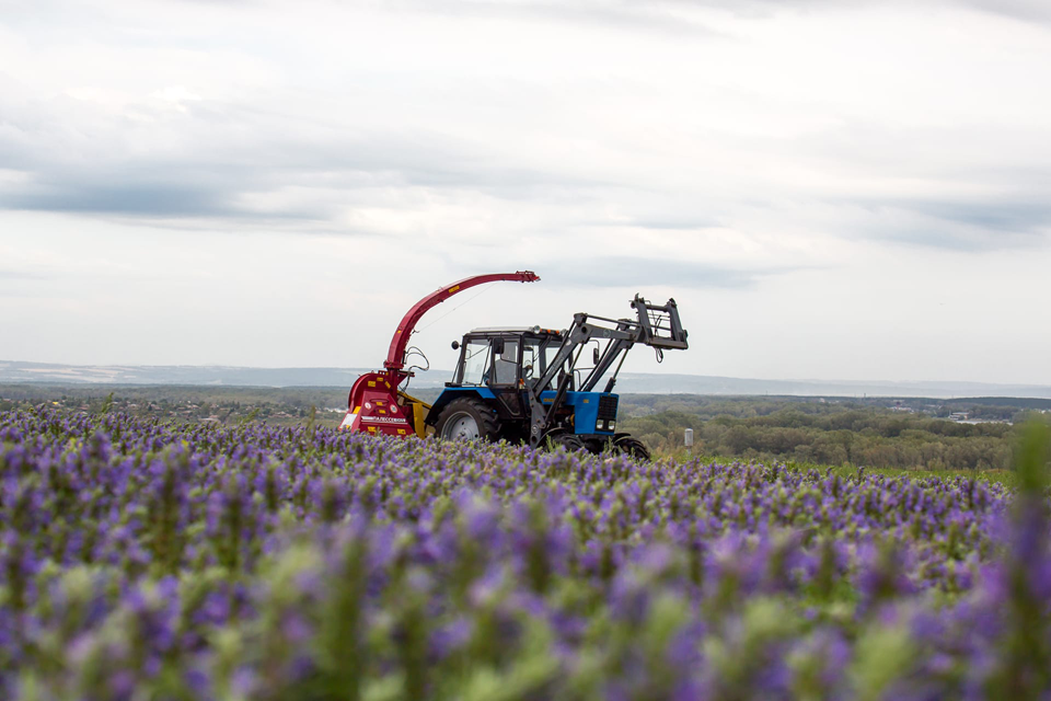 Babushka Agafya Kak Andrej Trubnikov Izobryol Kosmetiku Dlya 40 Letnih Uchilok Sekret Firmy