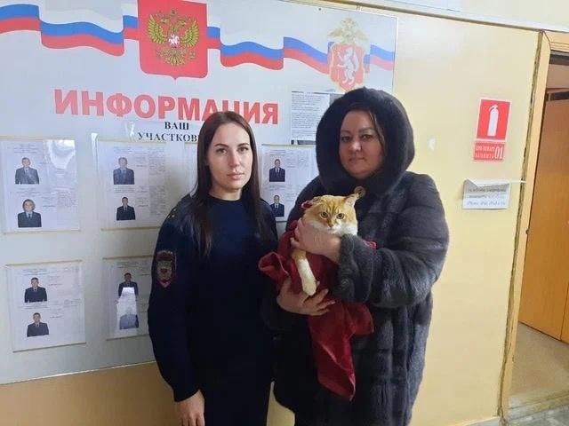 Месть за кота. Квартиру российского блогера-живодёра попытались поджечь
