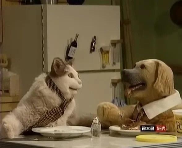 Кадр шоу  «TV Funhouse»