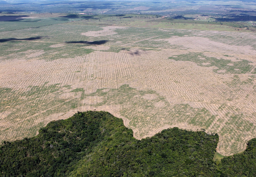 Вырубка лесов в штате Мараньян, Бразилия, в июле 2016 г.