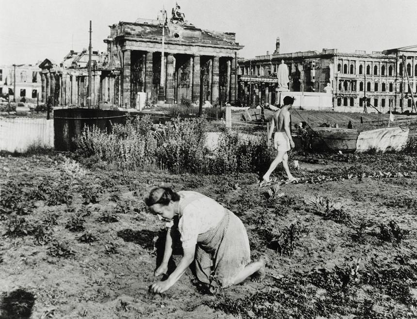 Выращивание овощей, 1947 год, на заднем плане повреждённые войной Бранденбургские ворота