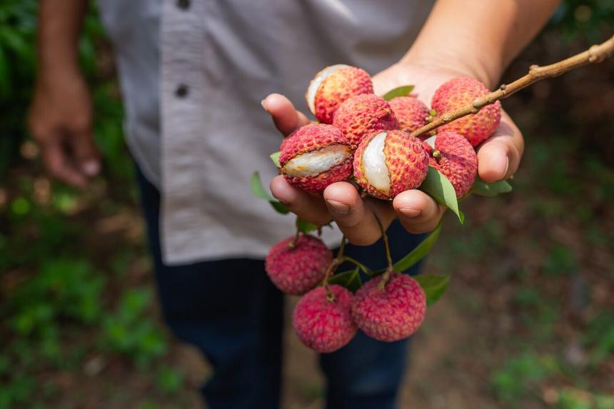Чем опасна барическая пила, почему гомеопатия — это сомнительно, а ГМО — нормально. Лучшие тексты «Секрета» о здоровье