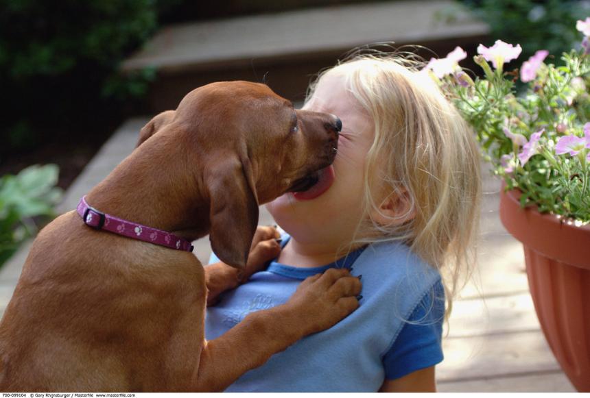 Носки и духи — мимо. Какие подарки не принято дарить по этикету