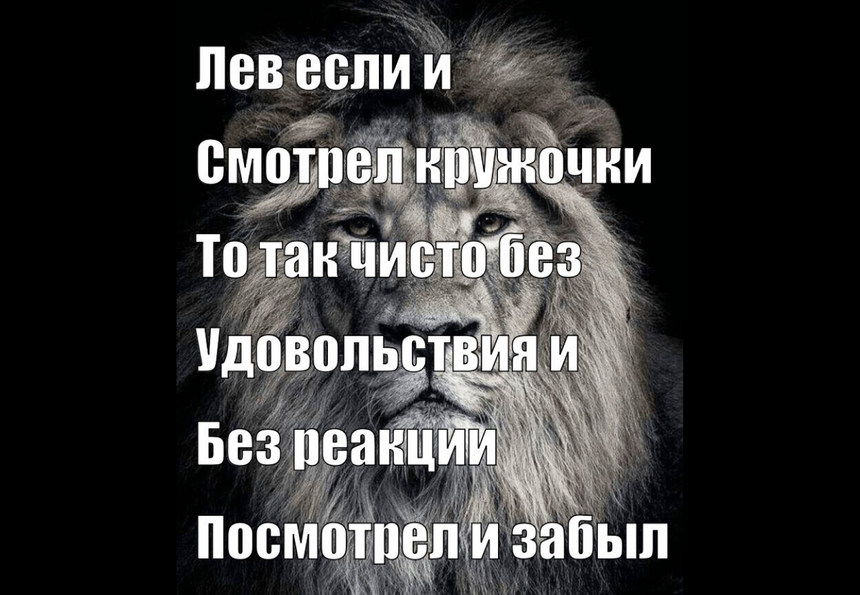 Лев, который всё делает без удовольствия. Что за мем заполонил соцсети и при чём тут психология