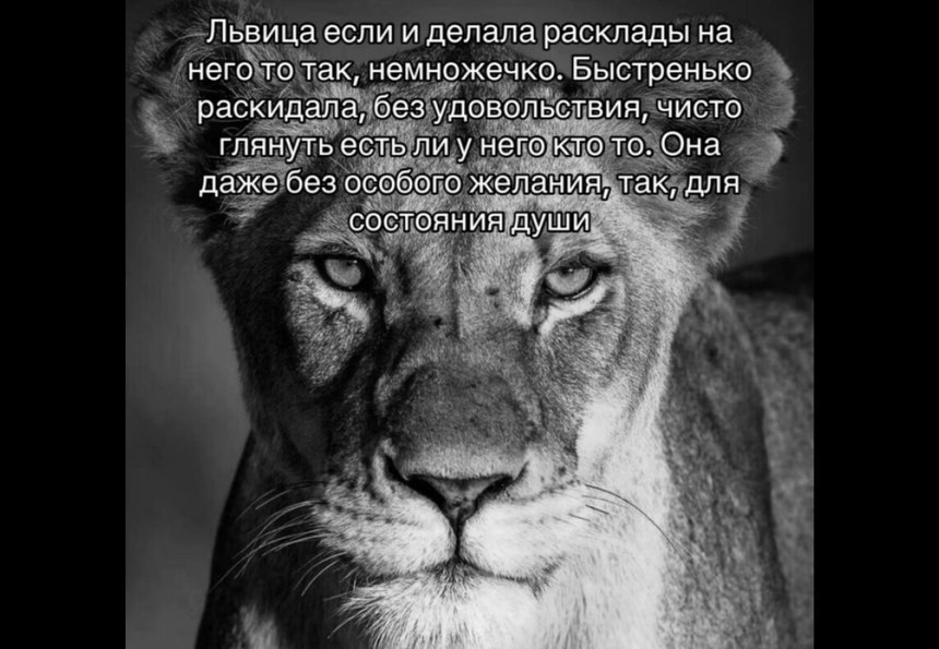 Лев, который всё делает без удовольствия. Что за мем заполонил соцсети и при чём тут психология