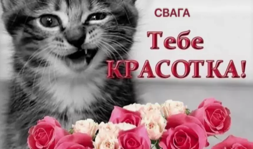 Что такое «свага» и как употреблять новый зумерский термин