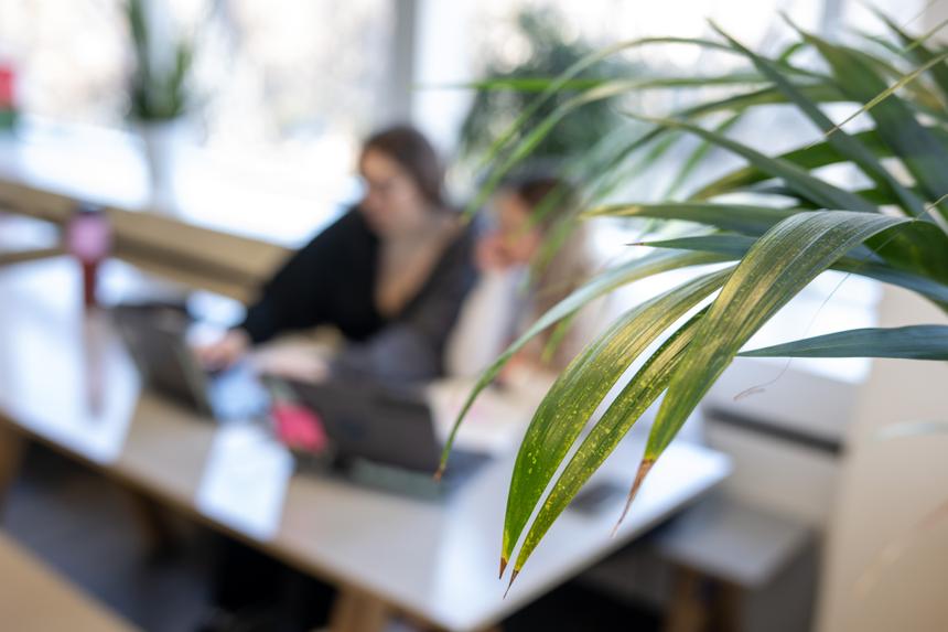 Работа с внештатниками: что может пойти не так?