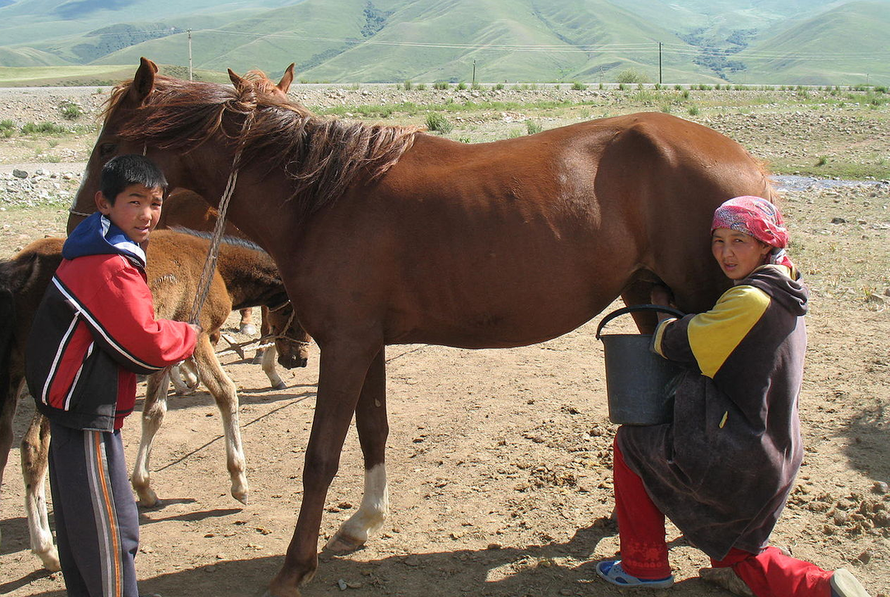 В России рассказали, может ли возникнуть дефицит кумыса из-за протестов в Казахстане