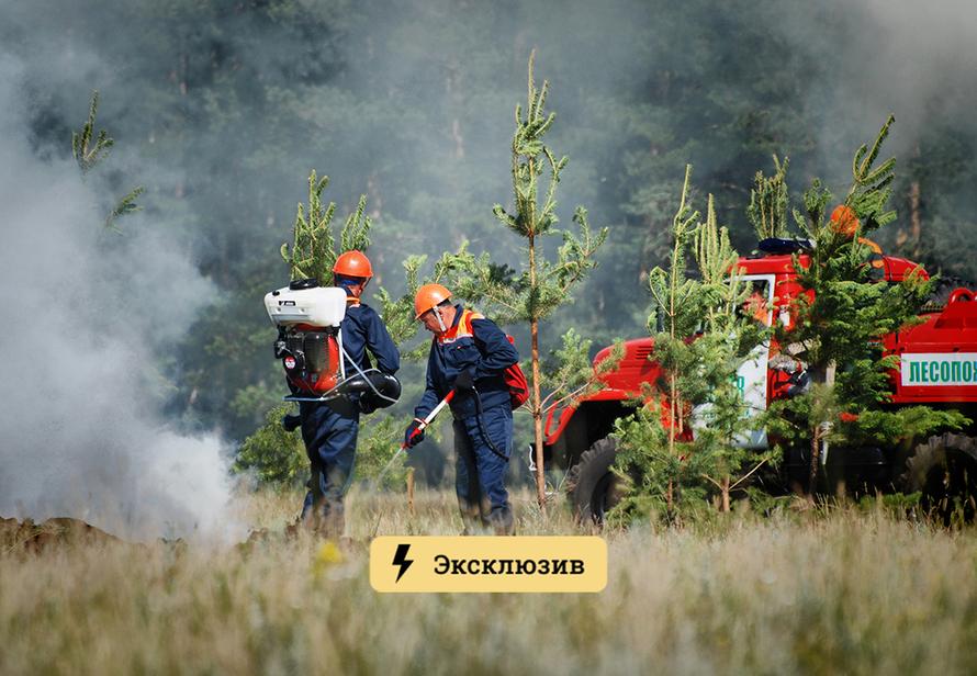 «Не сильно поможет». Экологи прокомментировали закон о крупных штрафах за лесные пожары