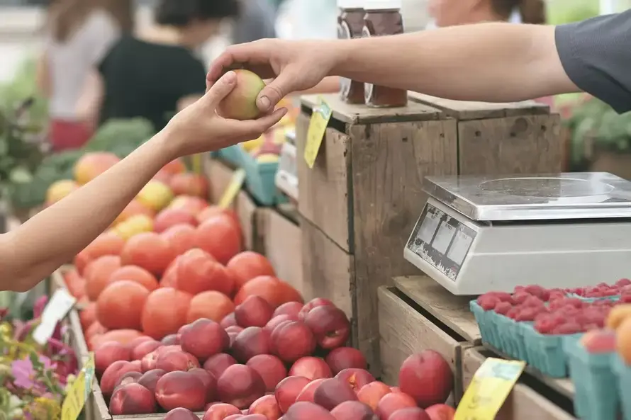 Российские ретейлеры ограничат наценки на продукты