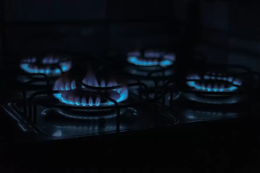 Аналитик допустил небольшой рост стоимости газа в России