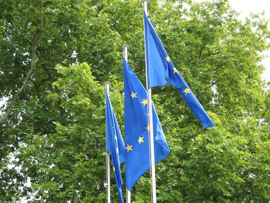 Почти все крупные страны ЕС не захотели видеть Украину в Евросоюзе слишком скоро