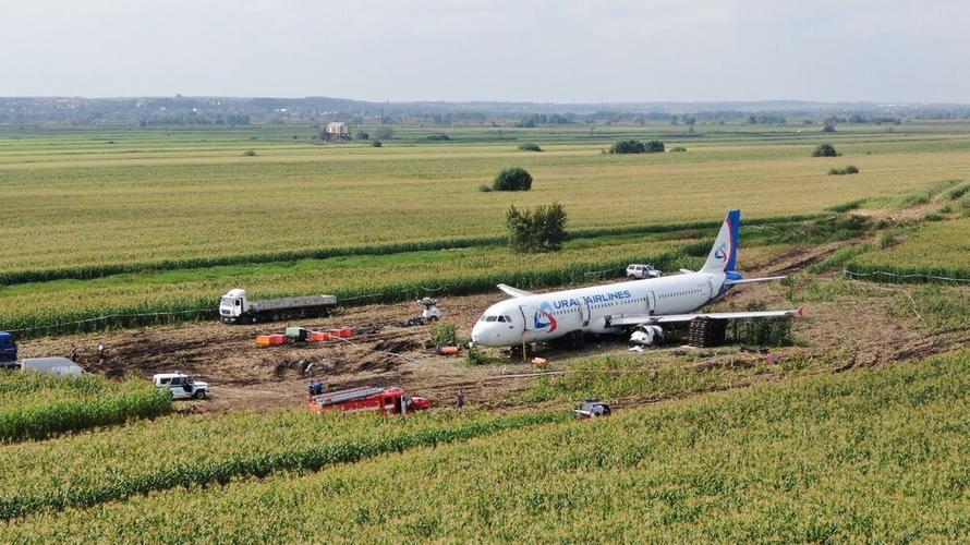 Посадку самолёта на кукурузное поле в Подмосковье оценили почти в 3 млрд рублей