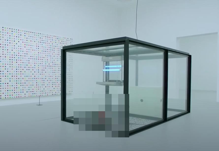 В Германии убрали инсталляцию с мухами из-за зоозащитников