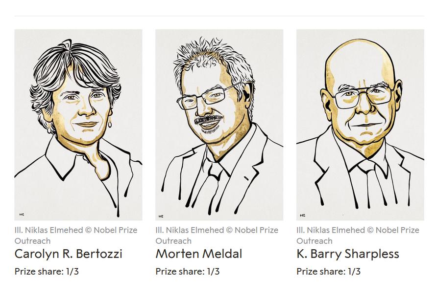 Нобелевку по химии дали за открытие нового метода синтеза молекул 