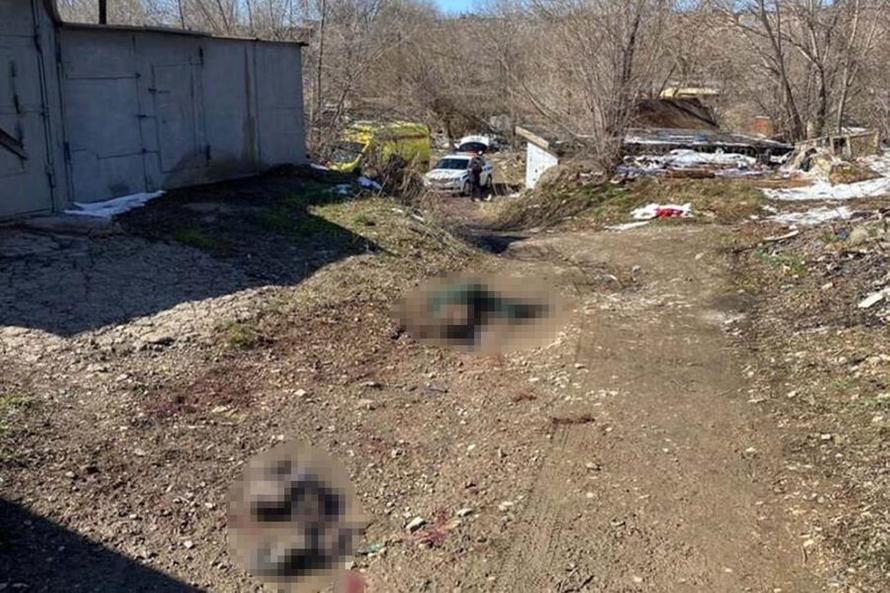 Стая собак насмерть загрызла ребёнка в Оренбурге