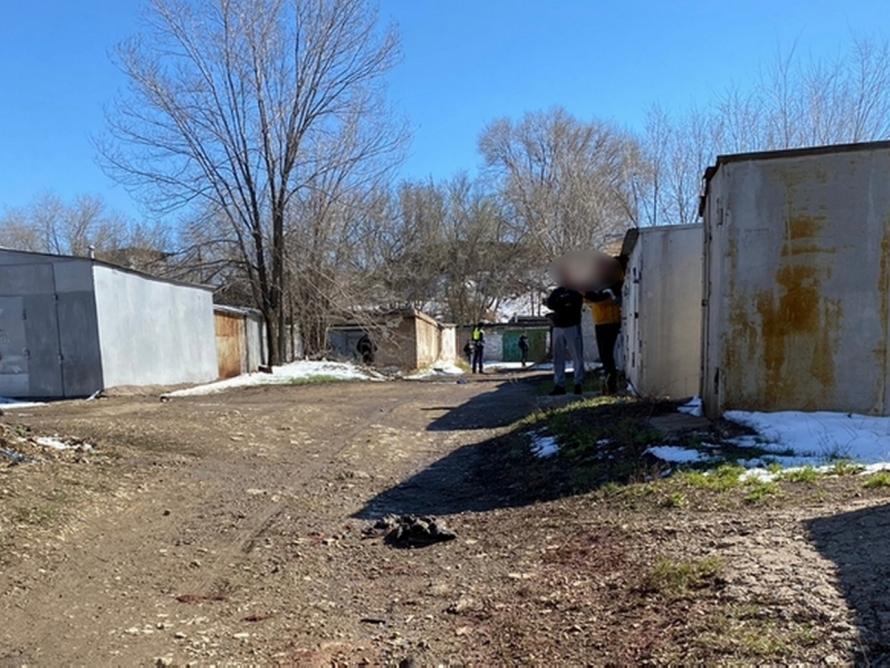 В российском регионе, где собаки загрызли ребёнка, отловят всех бездомных животных