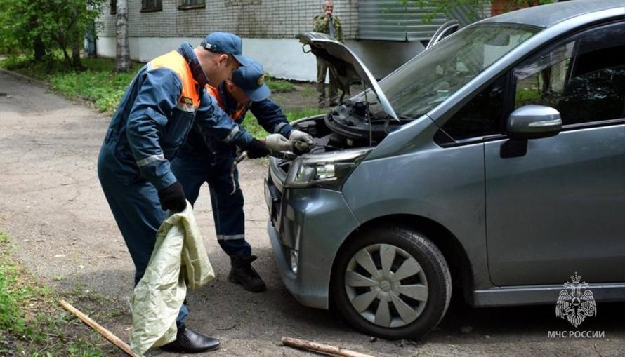 Полутораметровую змею достали из машины россиянина и сняли на видео