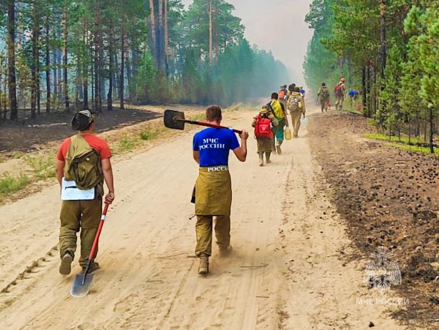 Российский регион в огне: там полыхают 98 пожаров. Что известно