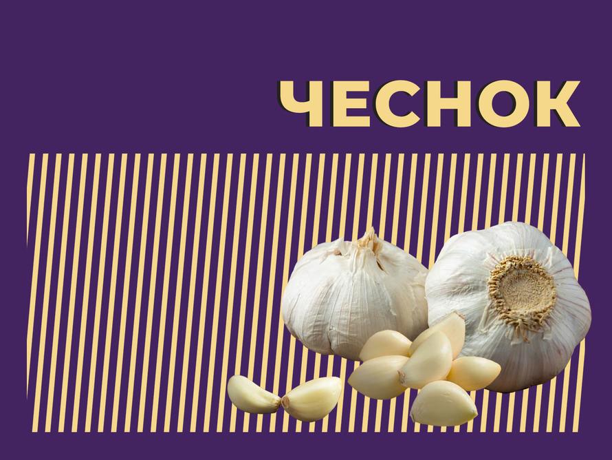 Что такое чеснок и в чём его польза и вред. Объясняем простыми словами
