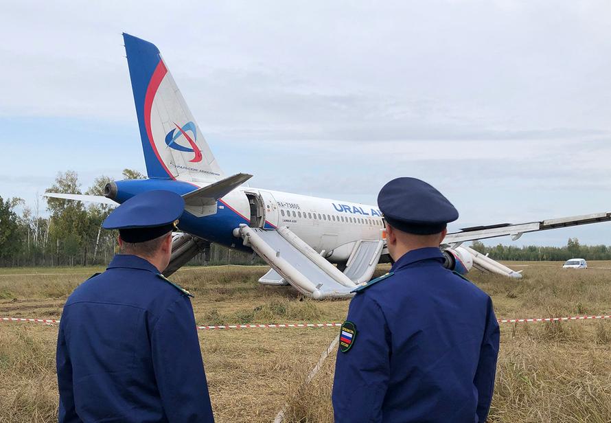 Севших в поле российских пилотов решили уволить. Жена одного из них обратилась к Путину
