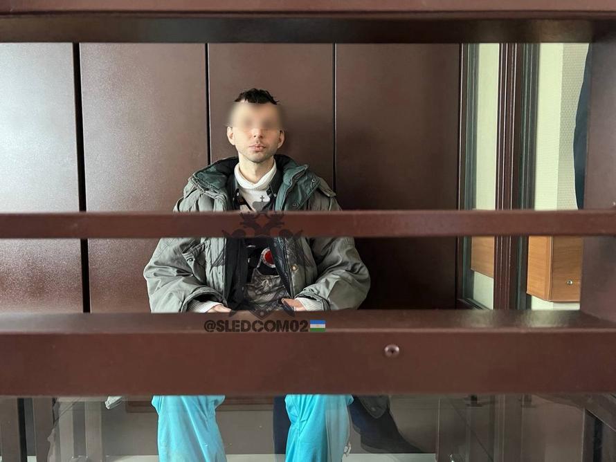 Россиянин, убивший пенсионерку кастетом, заявил, что принял её за наркомана