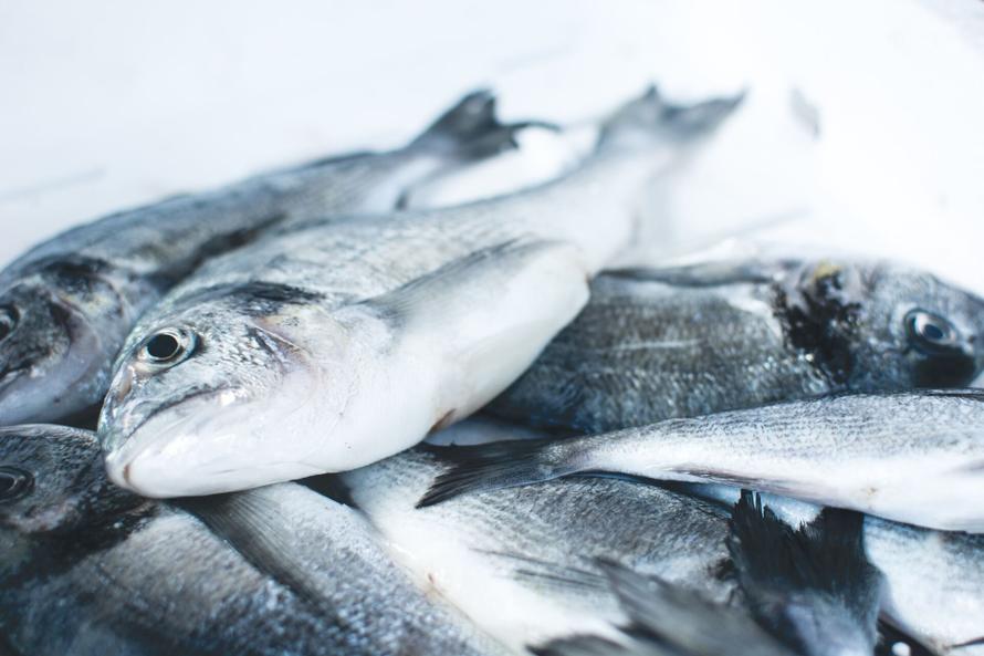 Список продуктов, в которых больше всего коллагена. Для вашей молодости