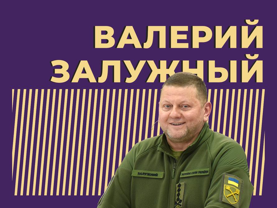 Валерий Залужный: биография