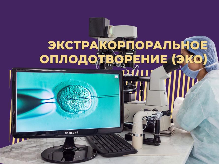 ЭКО: что это такое
