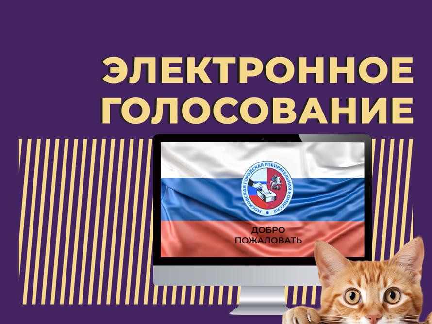 Что такое электронное голосование и как проголосовать с его помощью на выборах-2024. Простыми словами