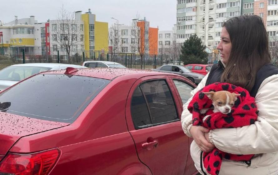 Снаряд попал в роддом, легковушки сгорели дотла: ВСУ утром нанесли удар по Белгороду