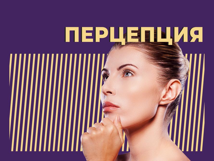 Что такое перцепция и как её правильно развивать. Объясняем простыми словами