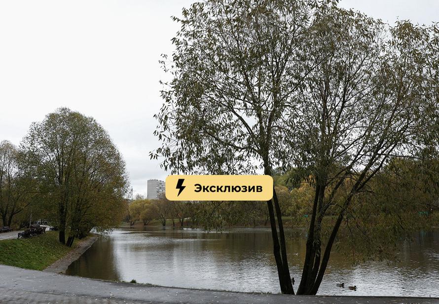 Подъехал на машине к речке — лишился 400 тыс. рублей. Россиянам напомнили о штрафах за парковку на природе