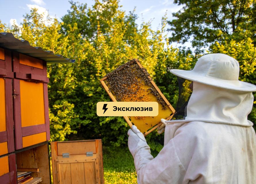 Укусы насекомых могут стоить вам жизни. Как распознать у себя аллергию и не угодить в реанимацию