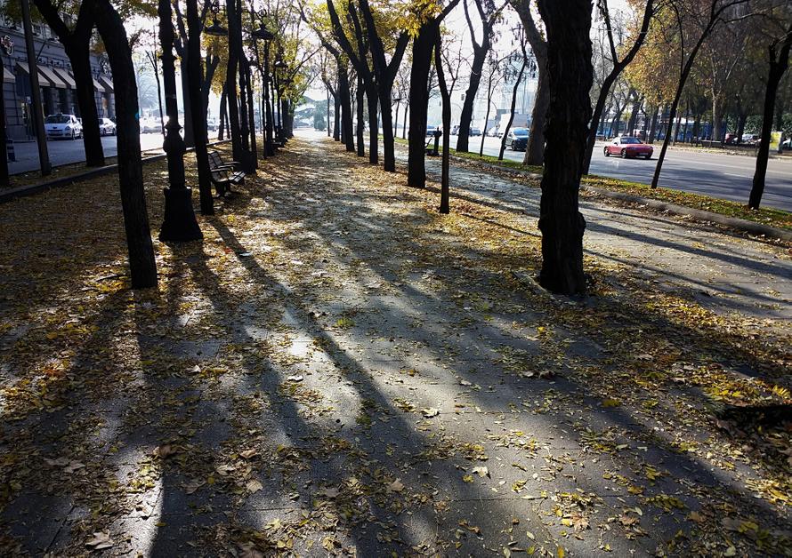 Осень возвращается в Москву: когда потеплеет и растает снег