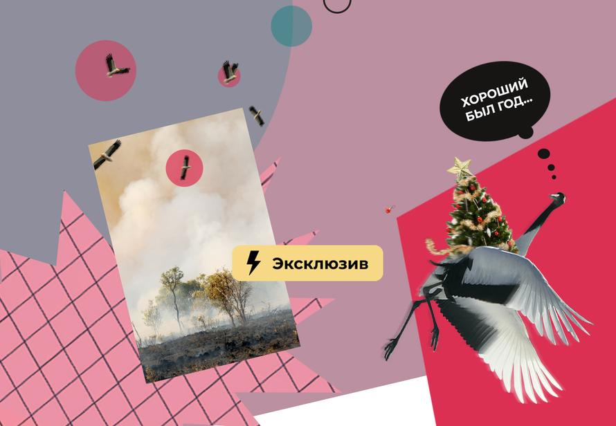 Как построить планы на Новый год и всегда ли их нужно ставить: советы психотерапевтов