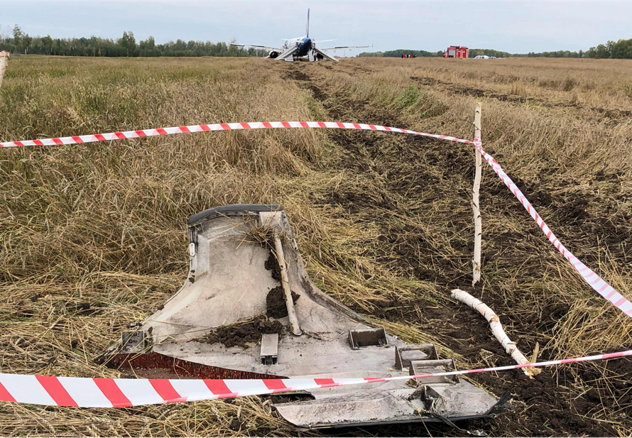 «Внешнее вмешательство»: в Азербайджане назвали причину крушения самолета с россиянами. Что это значит