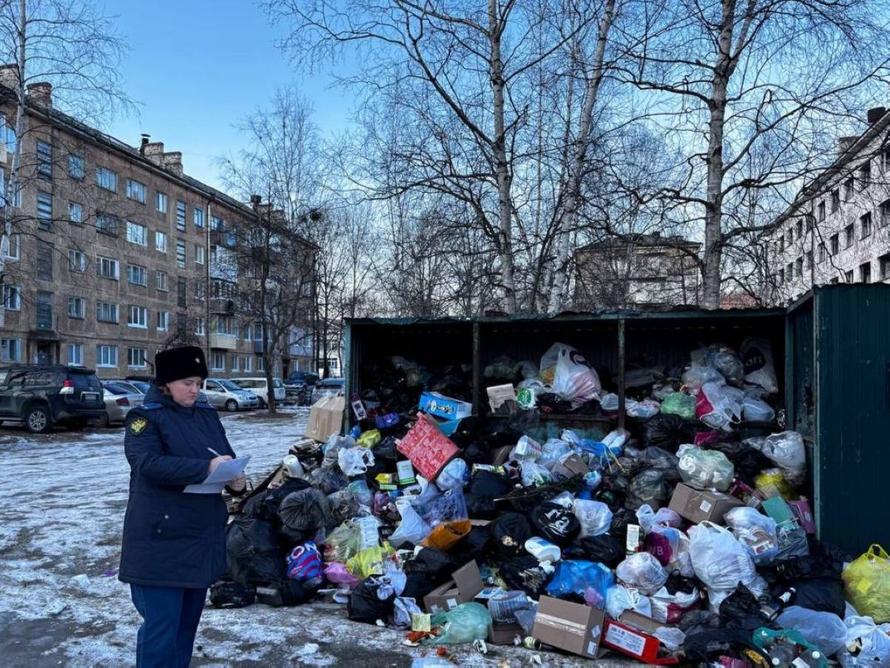 Российский депутат назвал горожан опарышами после жалоб на плохой вывоз мусора. Но потом дал заднюю