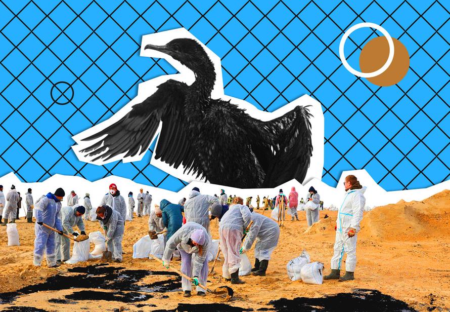 Как помочь Чёрному морю прямо сейчас: отправиться волонтёром в Анапу или отправить гуманитарную помощь из дома