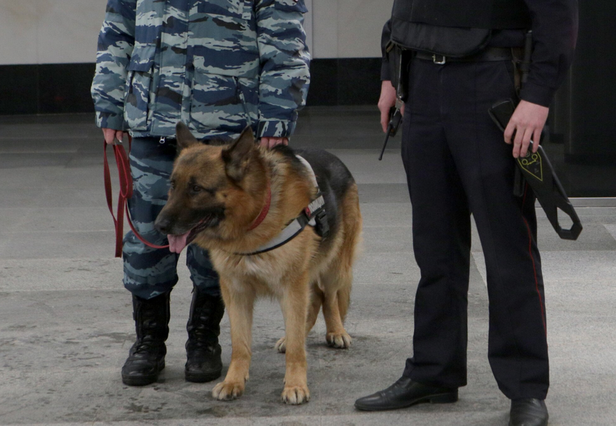 Водитель пытался ввезти в Россию полтонны взрывчатки и попался. Какое наказание ему грозит