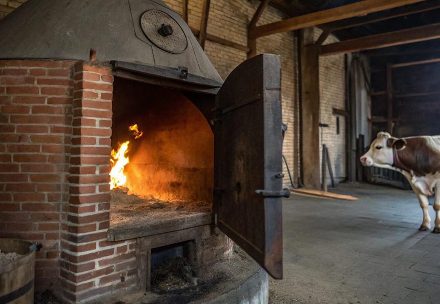 Российский адвокат зарезал клиента и сжёг в печи для животных. За что