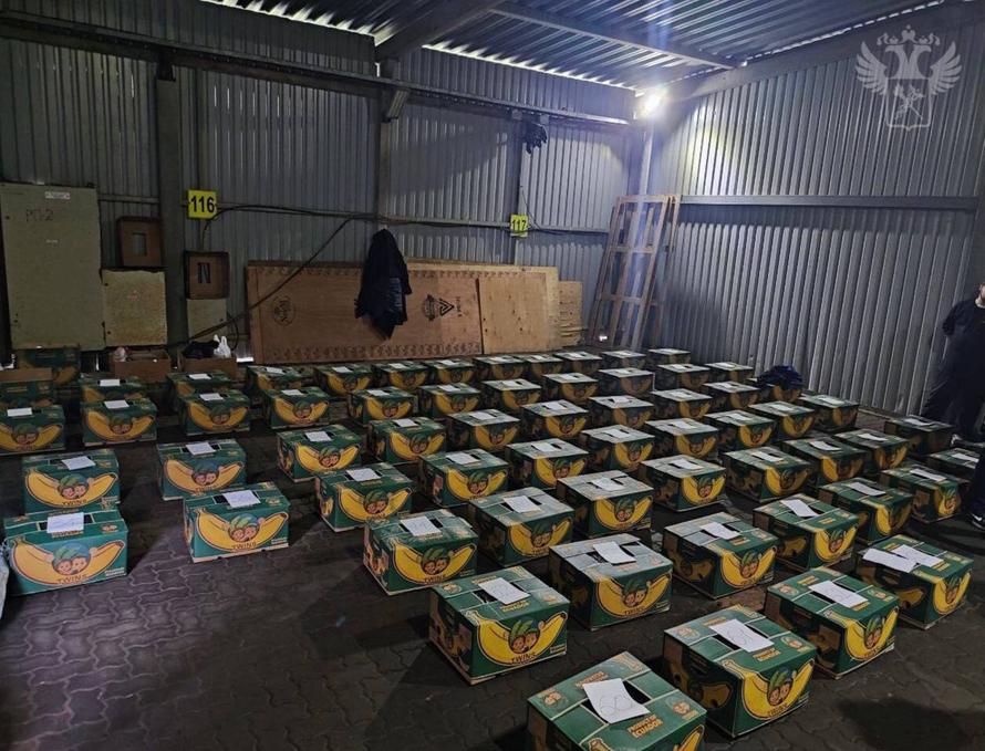 В Петербурге перехватили партию наркотиков в 1,5 тонны. Это рекорд таможни