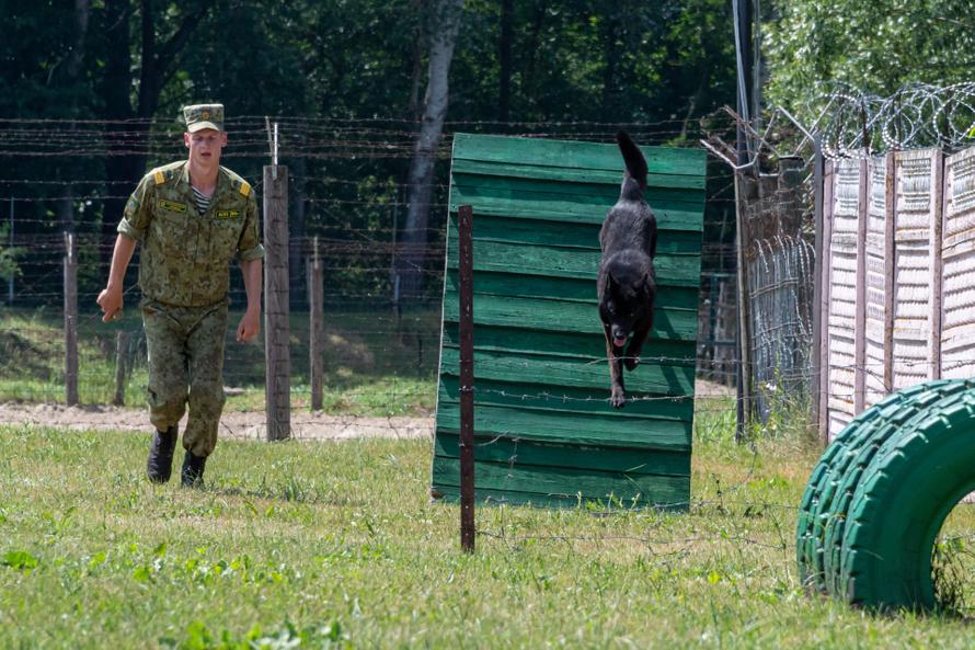 В России хотят расширить перечень заболеваний, из-за которых не получится заключить контракт с Минобороны