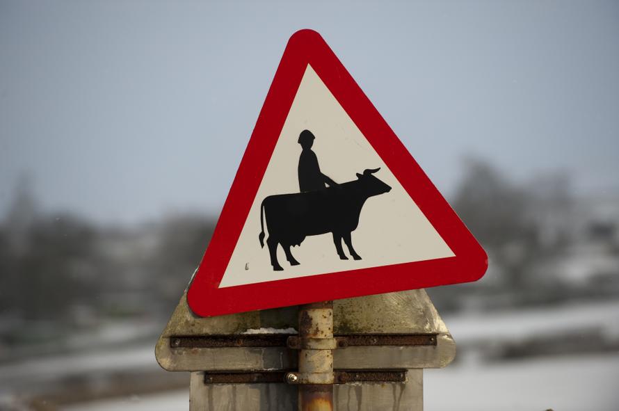 В России с 2026 года появятся новые дорожные знаки. К чему готовиться водителям