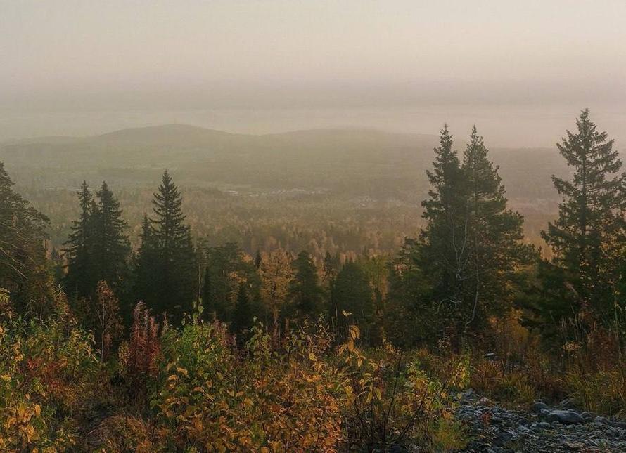 На пропавших под Красноярском туристов с ребёнком могли напасть дикие звери. Что известно
