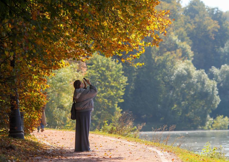 В Москве наступила золотая осень. Когда опадут листья — рассказал синоптик