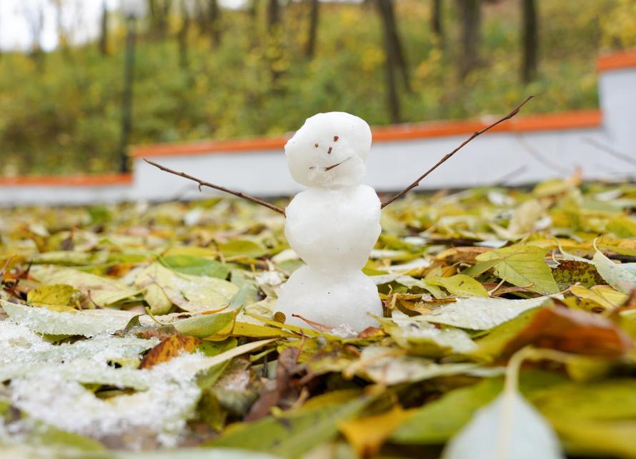 Когда в Москве выпадет первый снег? Синоптик назвала дату