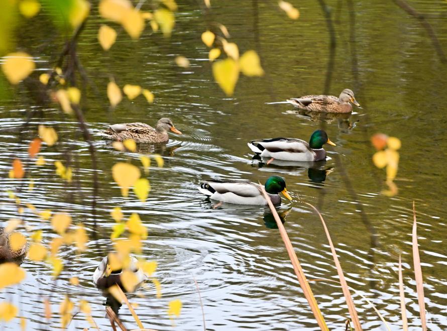Аномальное тепло пообещали жителям нескольких регионов России. Кому повезёт уже на этой неделе