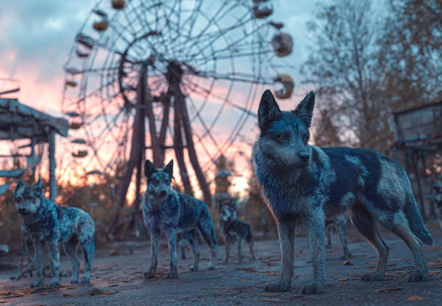 СМИ: В Чернобыле обнаружили собак-мутантов. Что с ними не так