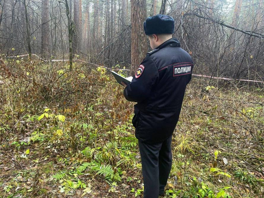 Тело обнажённой женщины без головы нашли в российском парке. Кто сознался в расправе